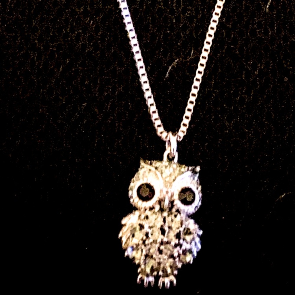 Long Fashion Owl Pendant Necklace